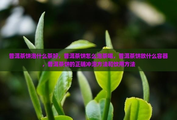 普洱茶饼泡什么茶