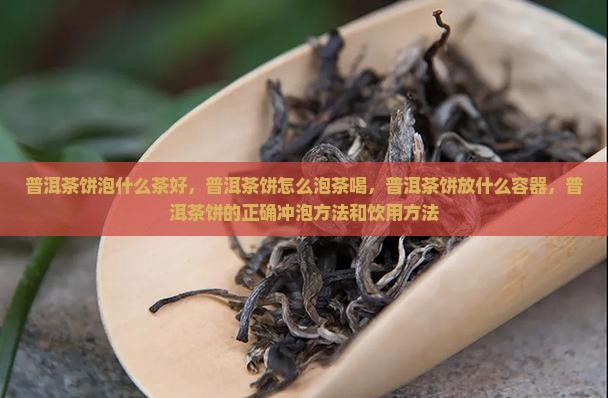 普洱茶饼泡什么茶