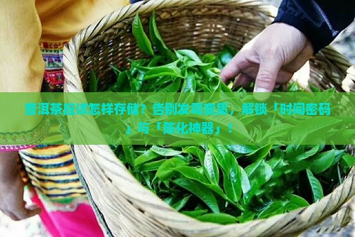 普洱茶应该怎样存储