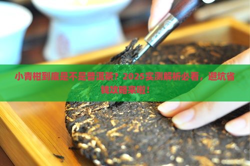 小青柑是是普洱茶吗