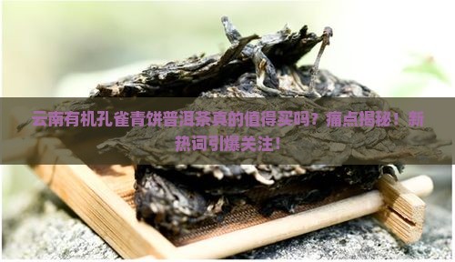 云南有机孔雀青饼普洱茶