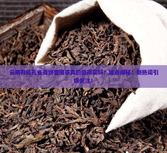 云南有机孔雀青饼普洱茶