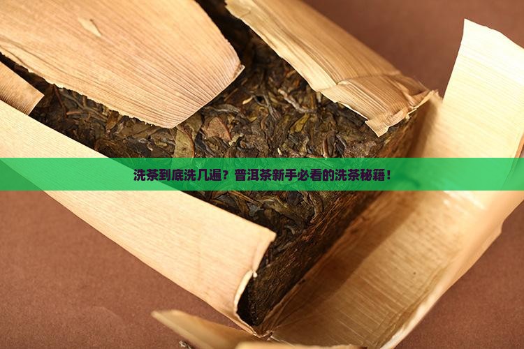 普洱茶洗茶怎么洗几遍
