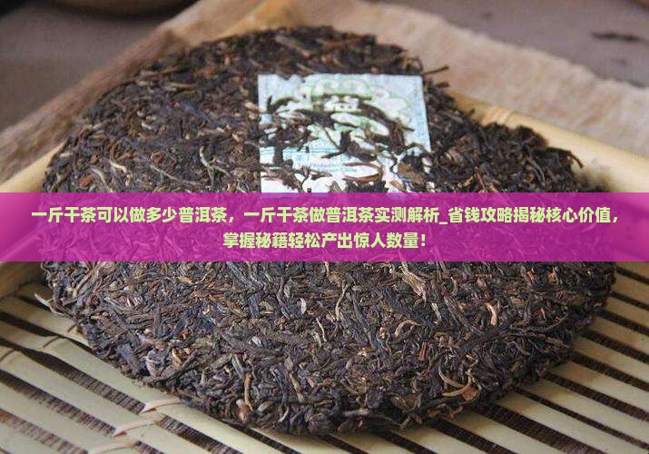 一斤干茶可以做多少普洱茶