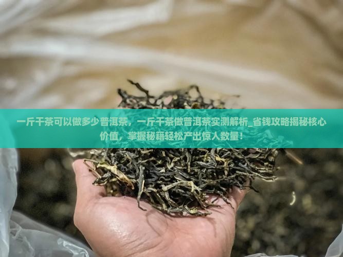一斤干茶可以做多少普洱茶