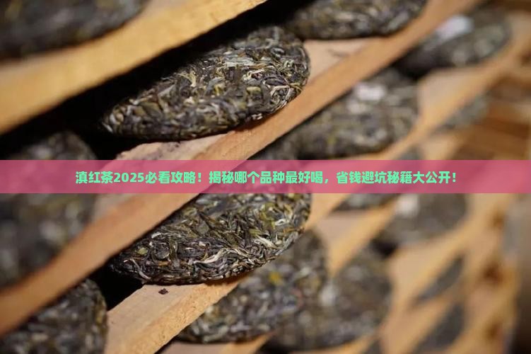 滇红茶叶哪个品种比较好