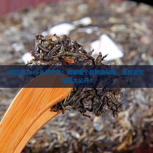 滇红茶叶哪个品种比较好
