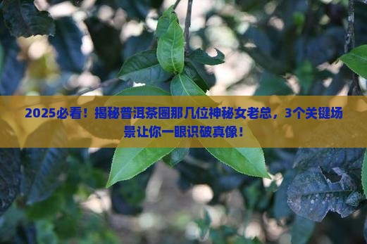 普洱茶的老总是那个女士