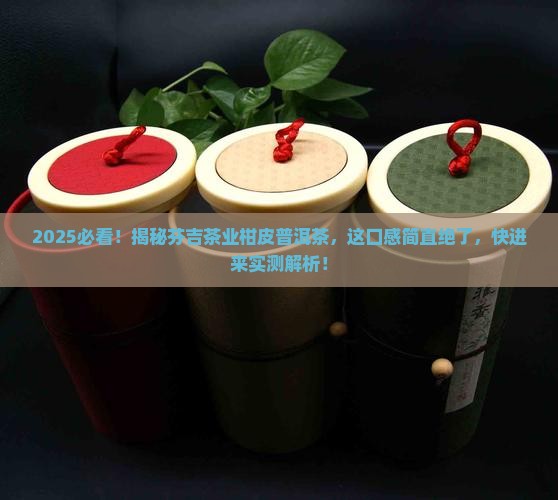 芬吉茶业柑皮普洱茶