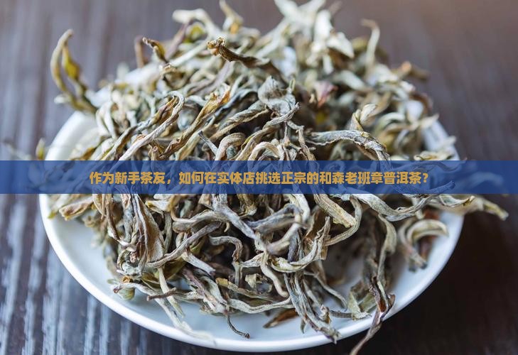 怎么样购买和森老班章
