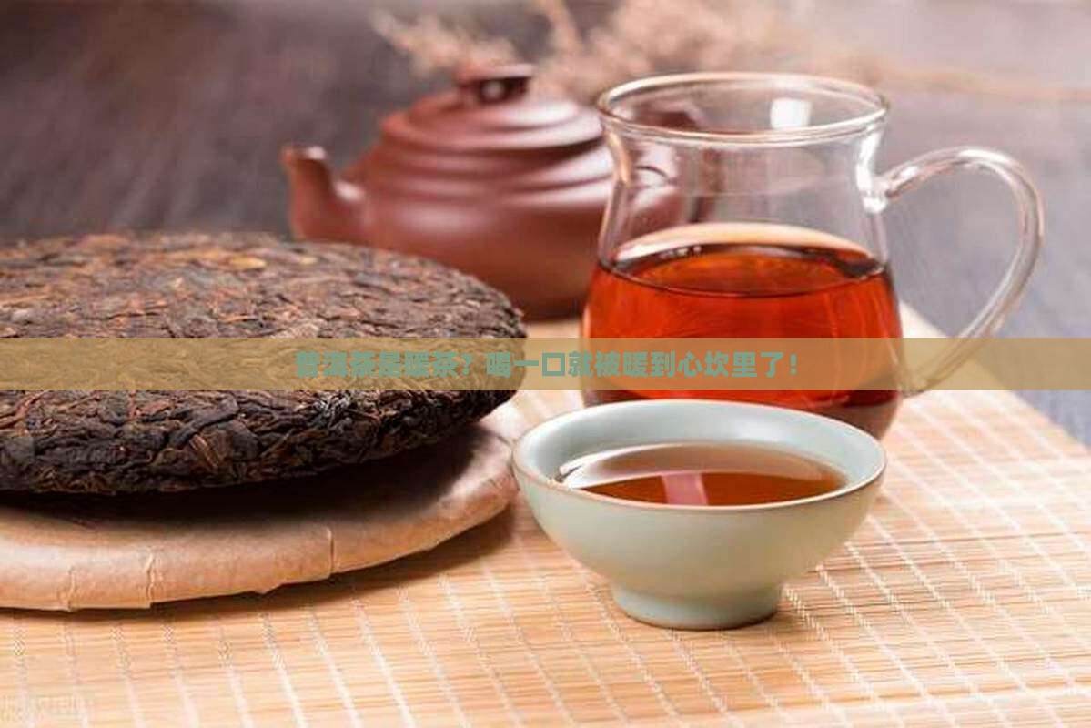 普洱茶属于暖茶
