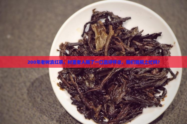 200年大树滇红茶