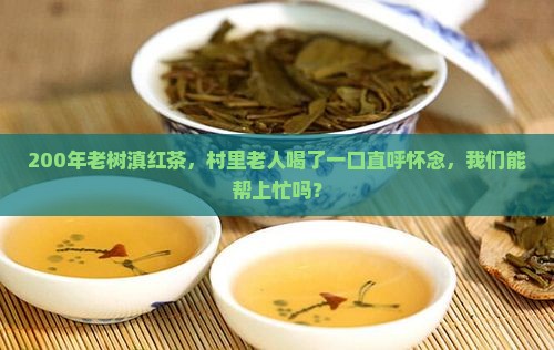200年大树滇红茶