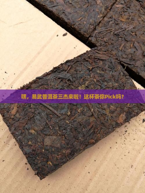 易武普洱茶三杰
