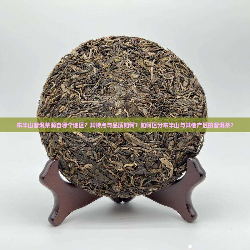 东半山普洱茶属于哪里的