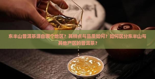东半山普洱茶属于哪里的