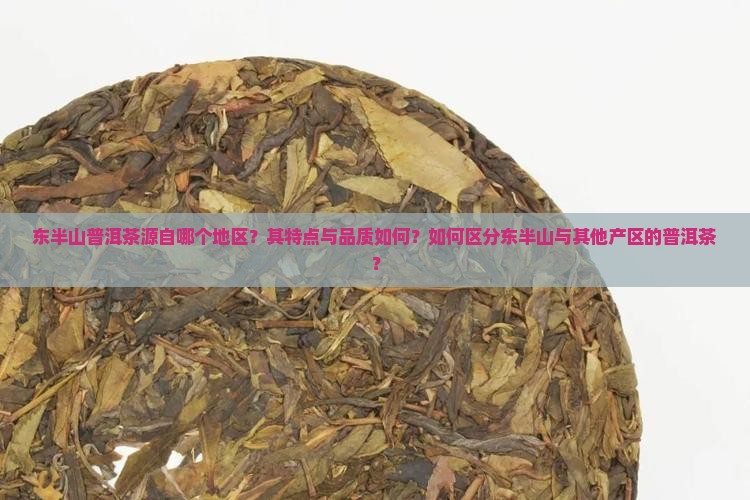 东半山普洱茶属于哪里的