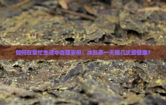 冰岛茶一天喝几次