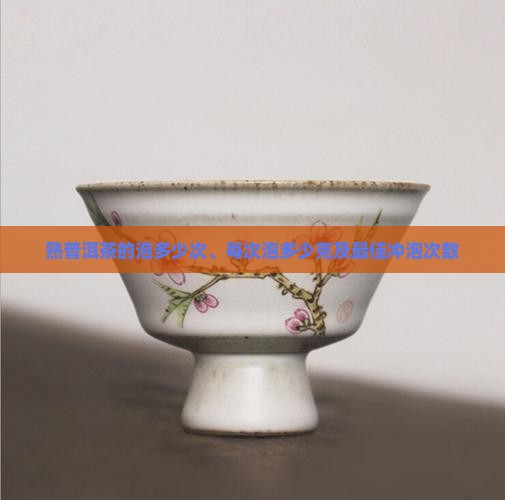 熟普洱茶的泡多少次