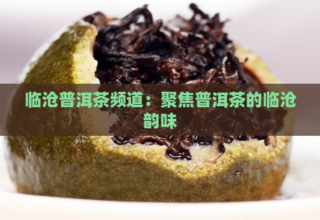 临沧普洱茶频道