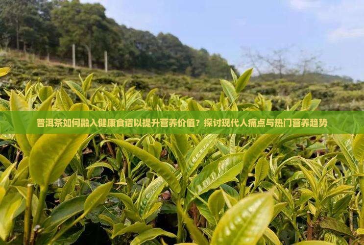 普洱茶与健康食谱营养价值