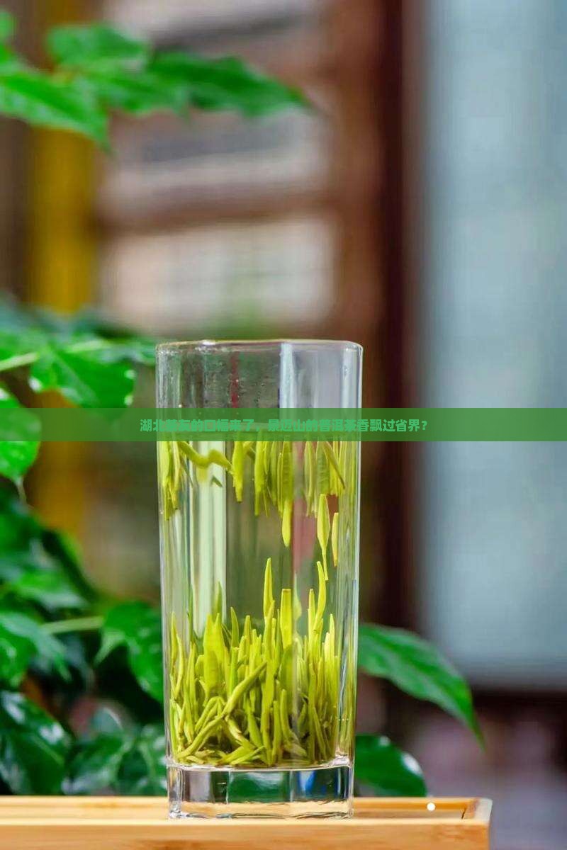 景迈山普洱茶湖北