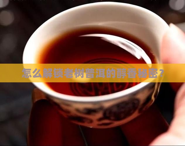 老树普洱茶怎么打开