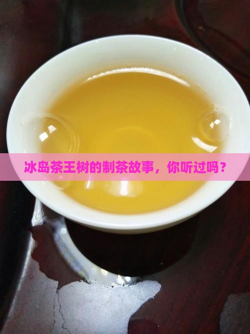 冰岛茶王树的做法