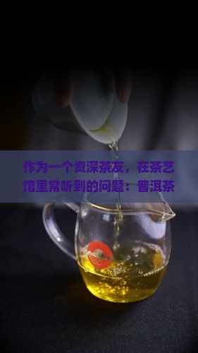 普洱茶饼与福鼎茶饼哪个好