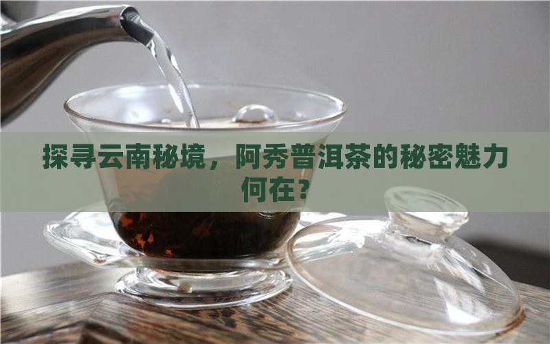 云南懿寨阿秀普洱茶