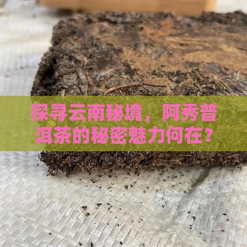 云南懿寨阿秀普洱茶