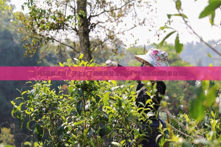 牙上火能喝熟普洱茶吗
