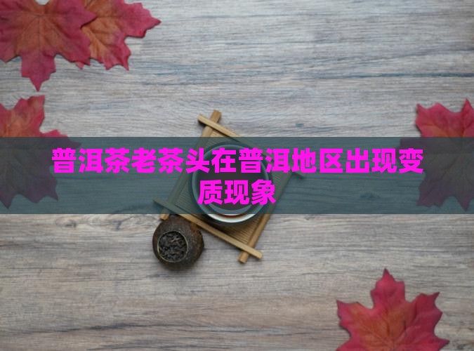 普洱茶老茶头有坏