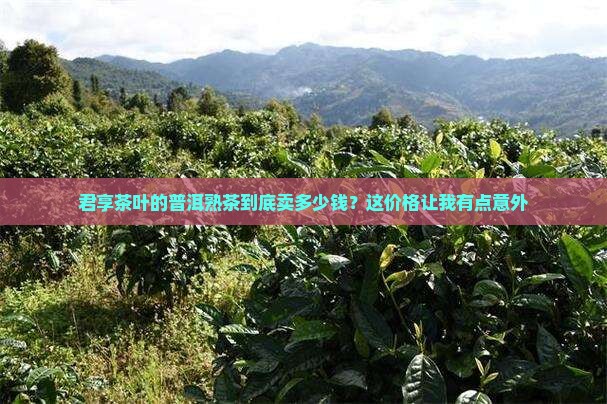 君享茶叶普洱茶熟茶价格