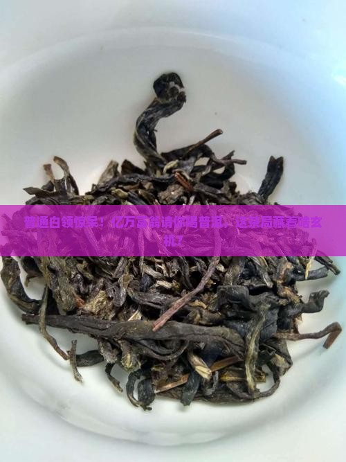上亿身价老板请喝普洱茶