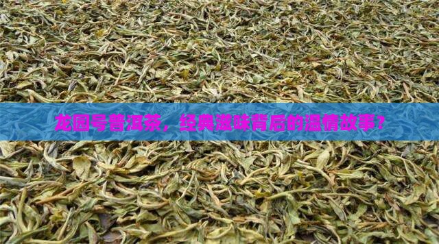 龙园号普洱茶经典茶