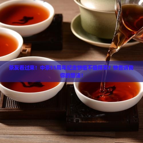 中茶55周年纪念饼值得购买藏吗
