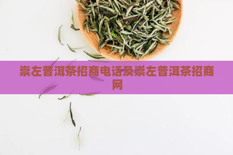 崇左普洱茶招商