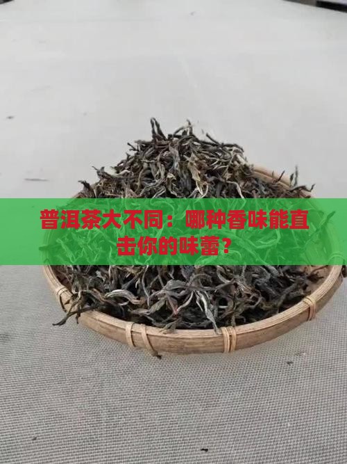 普洱茶的种类口感介绍大全
