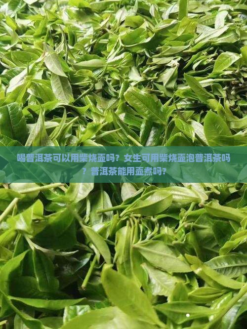 喝普洱茶可以用柴烧壶吗