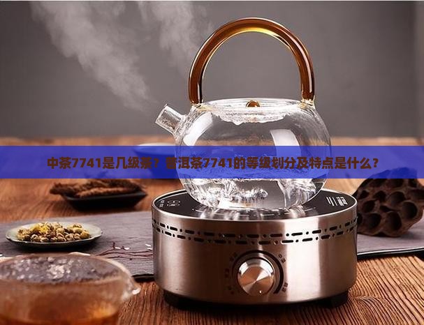 中茶7741是几级茶