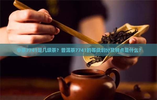 中茶7741是几级茶