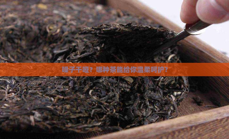 喝什么茶润喉咙