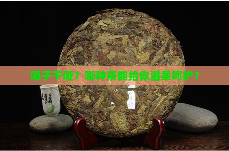 喝什么茶润喉咙