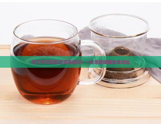苦丁茶可以和普洱茶泡吗