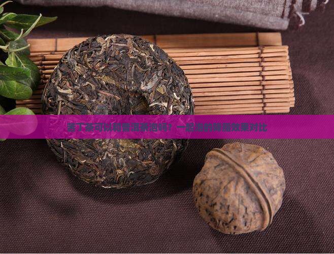 苦丁茶可以和普洱茶泡吗