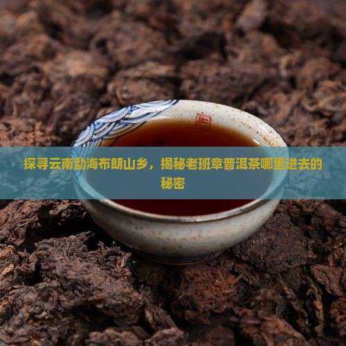 老班章从哪里进去