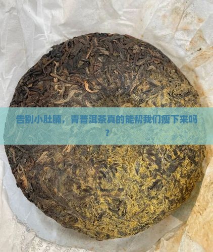 青普洱茶可以减肥吗