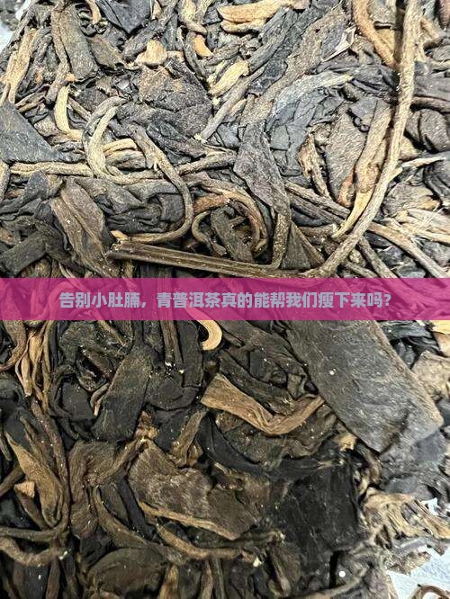 青普洱茶可以减肥吗