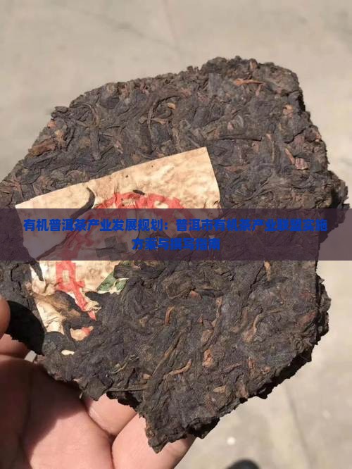 有机普洱茶产业发展规划
